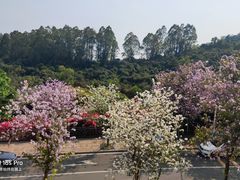 -小南山公园