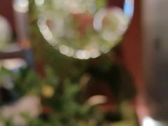 -7号院家宴.烧鸽子(门头沟店)