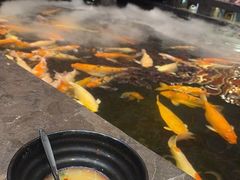 -唐山宴大唐州府精品中餐