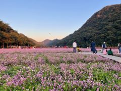 -广州市石门国家森林公园
