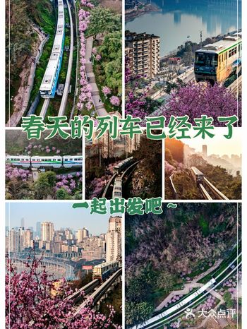 开往春天的列车～ 再冷的冬天都会过去，春的气息不知不