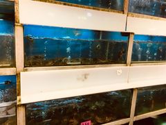 水产区-芦潮港集贸市场