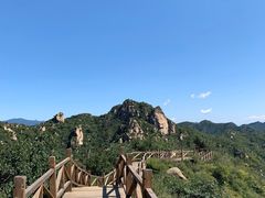 -大岭沟猕猴桃谷风景区