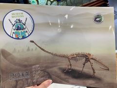 -国家自然博物馆