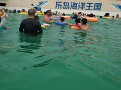 -秦皇岛乐岛海洋王国