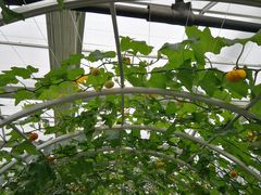 -兴芮温泉度假区