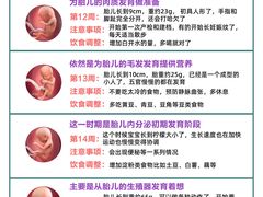 -大班家政月嫂育儿嫂(总部店)