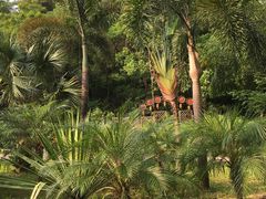 -金山植物公园