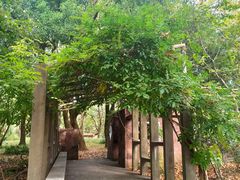 -共青国家森林公园-南大门停车场