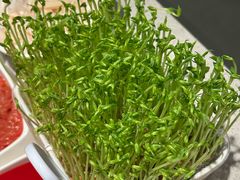 -海底捞火锅(漫广场店)