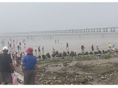 -南汇嘴观海公园