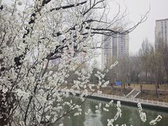 -南长河公园