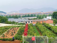-北马山庄植趣咖啡