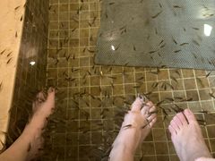 -中家鑫园温泉酒店鑫悦汤泉