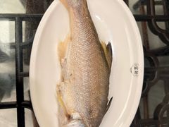 -吴记富苑(朝阳店)