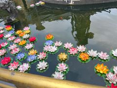 -上海东林寺(金山区)