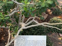 -北京植物园-展览温室