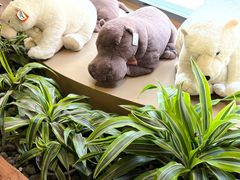 -ZOO COFFEE动物园咖啡(红山森林动物园店)
