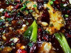-东吴霸王兔(松青路店)