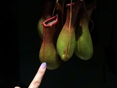 -广州四季酒店