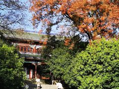 -灵谷景区