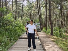 -帽儿山国家森林公园