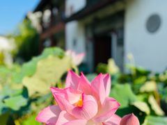 -丝绸小镇荻港古村