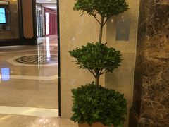 -北京中国大饭店