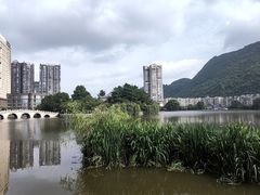 -凤池园