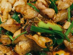 -灯盏窝饭店(新都分店)