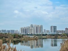 -眉山湿地公园(东坡区)