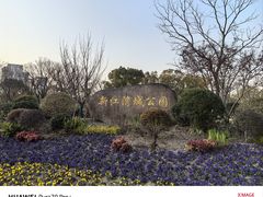 -新江湾城公园