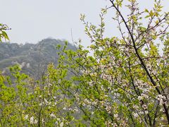 -北京凤凰岭