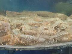 -鑫渔港海鲜本地菜·山海关浑锅(东戴河店)