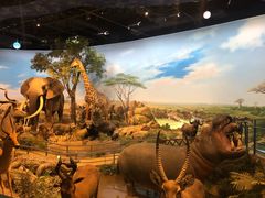 -陕西自然博物馆