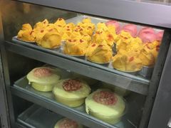 -香港华丽都会酒店