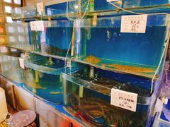 水产区-隆喜元鱼汤包·海鲜(中联广场店)