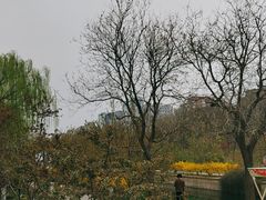 -元大都城垣遗址公园