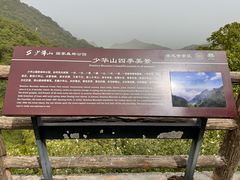 -少华山国家森林公园