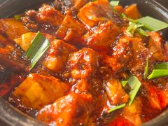 -陈麻婆豆腐(旗舰店)