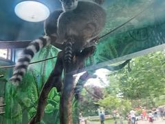 -西安秦岭野生动物园