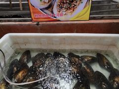 -八仔大富楼·河鲜(西江店)