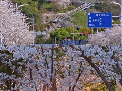-幕燕滨江·长江观音景区