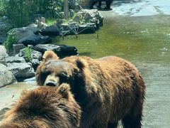 -北京野生动物园