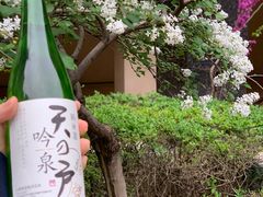 天之户清酒-山下C5cafe(惠通时代广场店)