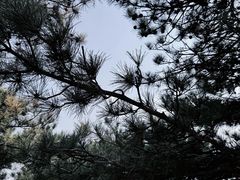 -八达岭长城