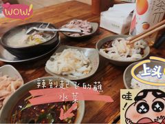 -汝萍传统蘸水菜(春华路总店)