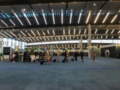 -西沃古尔·拉姆古兰爵士国际机场