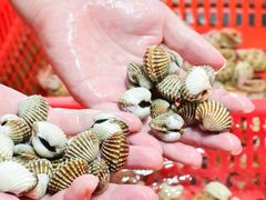 -巽寮印象美食部落餐厅·海鲜·地方特色菜(惠州体验店)