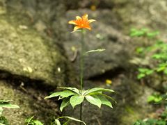 -崂山九水游览区